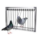 Portes de capture pour pigeons en métal 39x26 cm avec cadre en fer Portes en fil métallique pour piège à oiseaux à sens unique pour colombiers 1