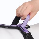 Poste de segurança para cães com reflexo Harnês peitoral para cães pequenos e médios Acessórios para passeio de cães Harnês leve para cães com pega 5 - 7,5 kg 3