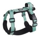 Posteriore per cani contro la fuga Imbracatura riflettente per cani piccoli e medi con maniglia 7,5 - 14 kg 1