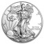 Postříbřená sběratelská mince USA 4 x 0,3 cm Nemagnetická pamětní mince roku 2020-2023 Oboustranná kovová mince Spojených států amerických 5