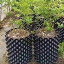 Pot aérateur pour accélérer la croissance des racines 2