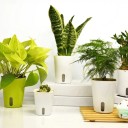 Pot de fleurs auto-arrosant H872 1