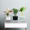 Pot de fleurs avec soucoupe H916 1