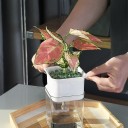 Pot de fleurs avec soucoupe H916 5