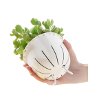 Pot de fleurs décoratif à double couche auto-arrosant 11 x 11 x 6 cm Pot en plastique transparent avec absorption d'eau Réservoir d'eau pour une croissance saine 3