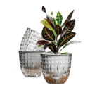 Pot de fleurs décoratif à double couche auto-arrosant 11 x 11 x 6 cm Pot en plastique transparent avec absorption d'eau Réservoir d'eau 2