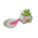 Pot de fleurs en céramique avec soucoupe 6