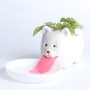 Pot de fleurs en céramique avec soucoupe 4