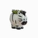 Pot de fleurs en céramique en forme d'animal 11