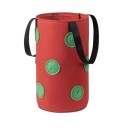 Pot de fleurs pour fraises 3