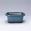 Pot en céramique pour bonsaïs H877 15