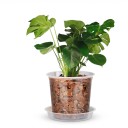 Pots de fleurs pour semis 72 pcs avec soucoupes et étiquettes, transparents, 4 tailles 8–15,5 cm, plastique avec trous de drainage, pour plantes d'intérieur et de jardin 5