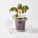 Pots de fleurs pour semis 72 pcs avec soucoupes et étiquettes, transparents, 4 tailles 8–15,5 cm, plastique avec trous de drainage, pour plantes 2