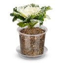 Pots de fleurs pour semis 72 pcs avec soucoupes et étiquettes, transparents, 4 tailles 8–15,5 cm, plastique avec trous de drainage, pour plantes 3