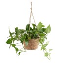 Pots de fleurs suspendus H900 3