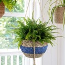 Pots de fleurs suspendus H969 1