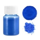 Poudre métallique pour résine 10 g 7