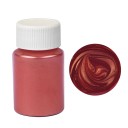 Poudre métallique pour résine 10 g 16