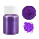 Poudre métallique pour résine 10 g 12