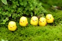 Poussins décoratifs de Pâques - 10 pcs 1