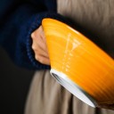 Prato pintado com animais 5