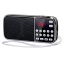 Přenosné rádio AM/FM Kapesní rádio s bluetooth a MP3 Digitální bezdrátové rádio Vestavěné LED světlo 12,6 x 2,5 cm 1