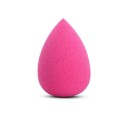 Professional Makeup Sponge J3173 5