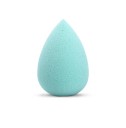 Professional Makeup Sponge J3173 6
