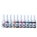 Professional Tattoo Ink Set 5 ml 10 Colours Tattoo Inks Quality Pigment Permanent Tattoo Colours Tattoo Supplies 1