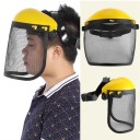 Protection du visage avec grille 2