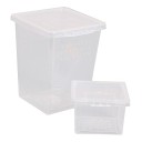 Průhledná plastová krabička na přepravu hmyzu s větracími otvory 11 x 8 cm plast průhledná pro chov a pozorování 2