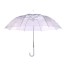 Průhledný deštník 1