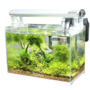 Ψηφιακό θερμόμετρο για ενυδρεία 7 x 1,5 cm LCD οθόνη Ηλεκτρονικός αισθητήρας με ακρίβεια 0,1 °C Αυτοκόλλητη μέτρηση θερμοκρασίας Εξωτερική πλευρά γυαλιού 2