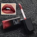 PUDAIER flüssiger wasserfester Lippenstift 21