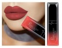 PUDAIER Liquid Waterproof Lipstick 17