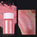 Pudr perlaceo lucido per unghie per manicurà creativa e nail art 9