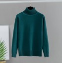 Pull à col roulé pour femmes G227 14