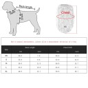 Pull d'automne et d'hiver pour chat taille XS Vêtement chaud en fibre douce Vêtements réchauffants pour les jours froids Trois couleurs 5