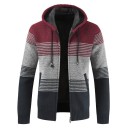 Pull zippé pour homme F176 2