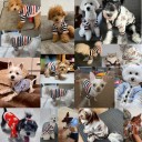 Pullover für Hunde 4,5–5 kg Größe L 45 cm Brustumfang 35 cm Länge Warmer gestrickter Anzug mit Bildern von Bären und drei Knöpfen zum Schließen 2