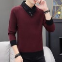 Pulover bărbătesc cu guler F227 4