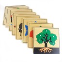 Puzzle 3D en bois 3