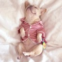 Pyjamas til hunde 3