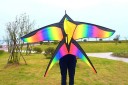 Rainbow Flying Kite 2