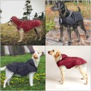 Raincoat for Large Dogs 8