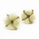 Ramo artificial de algodão 10 pcs 7