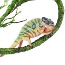 Ramo artificial para escalar em terrário C866 2