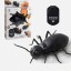 RC Beetle 6