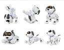 RC-koira 2