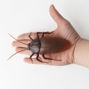 RC-kupla 2